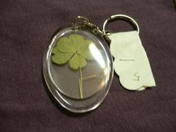 ♣ 幸運草工坊 ♣ 四葉幸運草 ♣ (天然酢漿草壓花) 生日 考生 情人節 禮物 10008-3 歷史價格詳細信息