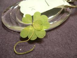 幸運草@五鋼板護腰 單入 Aolikes 透氣彈性護腰 健身重訓運動深蹲 黏貼式護腰 鋼板支撐 奧力克斯 鬆緊度可調 歷史價格詳細信息