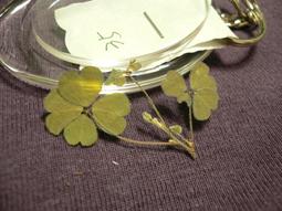 ♣ 幸運草工坊 ♣ 四葉幸運草 ♣ (天然酢漿草壓花)  2.8cm手機吊飾-2 歷史價格詳細信息