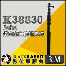 GoPro 鋁合金手擰螺桿 25mm加長螺絲 支架螺絲 鋁合金支架螺絲 運動相機支架螺絲 後照鏡相機支架螺絲 歷史價格詳細信息