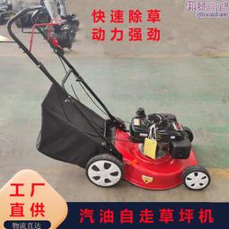 汽油手推割草機 自走式20寸草坪機 手推農場雜草除草機 價格比較,價格查詢,歷史價格詳細信息