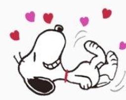 全新史努比不織布提袋 歷史價格詳細信息