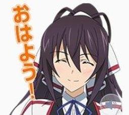 IS <Infinite Stratos> Versus Colors for PC Game 歷史價格詳細信息