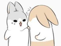 【兔年限定】兔來運轉燙金紅包袋-限量發行 2023新年必備紅包袋 新年禮物 紅包春聯 春節禮盒 長輩禮物 新年禮盒 歷史價格詳細信息