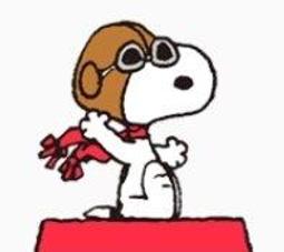 全新7-11 SNOOPY 史努比春日時尚袋-彩色LOG風午餐袋 歷史價格詳細信息