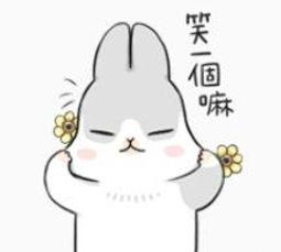 【兔年限定】兔來運轉燙金紅包袋-限量發行 2023新年必備紅包袋 新年禮物 紅包春聯 春節禮盒 長輩禮物 新年禮盒 歷史價格詳細信息