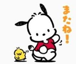 帕恰狗 貼紙包 日本製 手機貼紙 平板貼紙 手帳貼 裝飾貼紙 35周年紀念 POCHACCO【061275】 歷史價格詳細信息