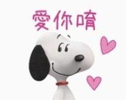 全新 PEANUTS 史努比 SNOOPY&amp;Woodstock 長型拉鍊手提袋 購物袋 藍色 歷史價格詳細信息
