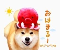 全新 日本 柴犬 和風 紅色 大方形 購物袋 手提袋 收納袋 和風 可愛 日式 風格 尼龍布 歷史價格詳細信息