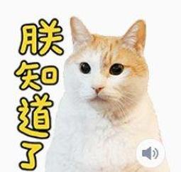 【黃阿瑪的後宮生活】台灣製 KF94立體醫療口罩10入/盒-2盒組-SOCLES款 歷史價格詳細信息