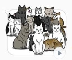 【群聚壹堂！西頓學園】DVD彩色光盤 歷史價格詳細信息