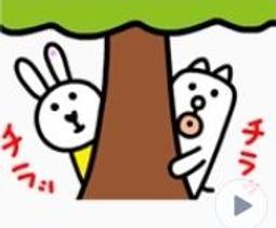 全新可愛的小狗手機吊飾 歷史價格詳細信息