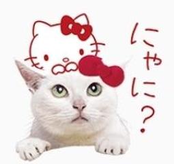 AyaGo 全新發明專利 溫控 前後伸縮衝擊 電動按摩棒 情趣用品 歷史價格詳細信息