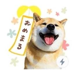 全新 日本 柴犬 和風 紅色 大方形 購物袋 手提袋 收納袋 和風 可愛 日式 風格 尼龍布 歷史價格詳細信息
