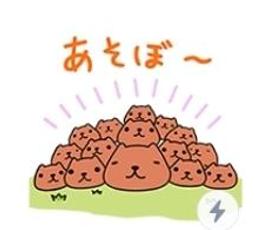 日本水豚君KAPIBARASAN 天馬星空化妝包(星空藍) 歷史價格詳細信息