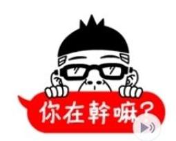 台灣限定 麥當勞 2014 HELLO KITTY FAIRY TALES 麥麥幫童話派對 凱蒂小蛙 綠野小獅子 青蛙 歷史價格詳細信息