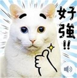 白話圖說易經堪與與羅經~黃本英 歷史價格詳細信息