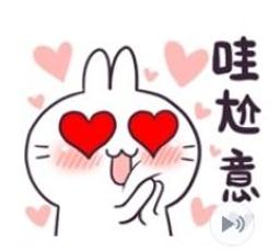 不死兔 噗滋 睡香香 35公分 側趴姿 超彈力 玩偶 娃娃 超人氣LINE貼圖 正版授權 歷史價格詳細信息