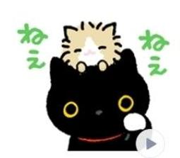 7-11 全家最多6瓶！熱銷商品高林干貝醬 歷史價格詳細信息