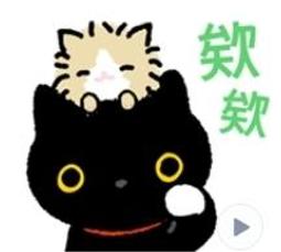 7-11 全家最多6瓶！熱銷商品高林干貝醬 歷史價格詳細信息