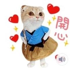 7-11 超萌 歐吉胖 OJIPAN 班族的心聲 多功能雙面隨身卡套 歷史價格詳細信息