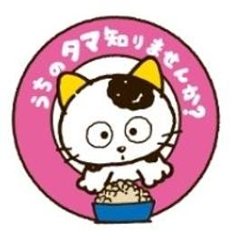 ~圓圓~&｛荷雅婷設計師品牌｝23年春夏款 排釦牛仔短裙 (M~L) 歷史價格詳細信息