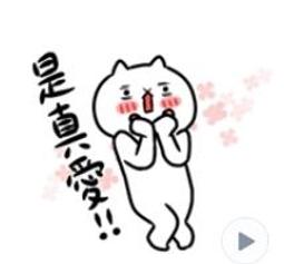 【反應過激的貓】可愛貓窩吾輩探戈老闆款 歷史價格詳細信息