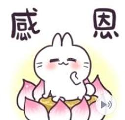 不死兔 噗滋 睡香香 35公分 側趴姿 超彈力 玩偶 娃娃 超人氣LINE貼圖 正版授權 歷史價格詳細信息