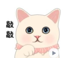 Jetoy Choo Choo 粉紅連帽裝扮療癒系白貓玩偶 絨毛玩偶 #M 日本空運 ~小太陽日本精品 歷史價格詳細信息