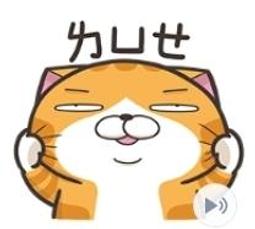 【可7-11、全家繳費】 超可愛♪LINE卡通明星 歷史價格詳細信息