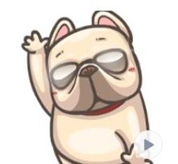 法鬥皮古 一神家族珪藻土吸水洗漱墊 矽藻土牙刷架 24x8cm【收納王妃】 歷史價格詳細信息