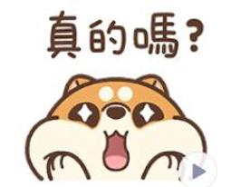 日本萌呆貓咪拉鍊零錢包 貝殼小包 頭層牛皮動物包 真皮荔枝紋 信用卡證件 鑰匙包 收納包 Rose Bonbon 歷史價格詳細信息