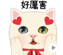 Jetoy Choo Choo 粉紅連帽裝扮療癒系白貓玩偶 絨毛玩偶 #S 日本空運 ~小太陽日本精品 歷史價格詳細信息