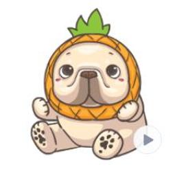 法鬥皮古 一神家族珪藻土吸水洗漱墊 矽藻土牙刷架 24x8cm【收納王妃】 歷史價格詳細信息