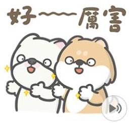 嗨小強 柴柴 法鬥 中拉鍊袋 防水拉鍊袋 透明筆袋 透明收納 藝舍 Ethos【金玉堂文具】 歷史價格詳細信息
