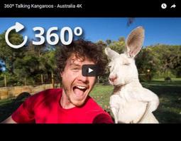 全新影片《食物美學》DVD  兼容理性與神話 美食版《普羅米修斯》 歷史價格詳細信息