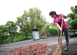居家清潔任選搭配三入組合-德淨poliboy-異味祛除/熱水壺去水垢/除塵大師-500ml*3 德國原裝 歷史價格詳細信息