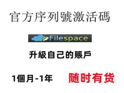 filespace.com 高級會員帳號出租1天 隨時有貨 歷史價格詳細信息