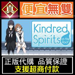 kingred現代 海力士芯片 DDR3 1333 4G 筆電電腦記憶體兼容1066 歷史價格詳細信息