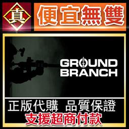 [真便宜無雙]STEAM●部隊 The Troop●二戰為背景的回合製排級戰術遊戲●PC 電腦版 歷史價格詳細信息