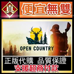 [真便宜無雙]STEAM●荒野槍巫 Wizard with a Gun●PC 電腦版 歷史價格詳細信息