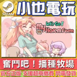 奮鬥吧!系統工程師１兩週內即可上手？SE入門（作者：夏海公司﹧角川）九成新 無章釘(K11) 歷史價格詳細信息