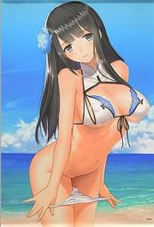 [電玩掛軸] sonohinokemononi 池貝舞雪 MELONBOOKS B2掛軸 歷史價格詳細信息