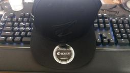 技嘉AORUS Radeon RX 6900 XT XTREME WATERFORCE WB 16G 顯示卡 歷史價格詳細信息