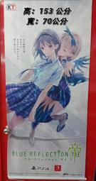 Reflection Split Cap 雙層帽｜nozzle quiz® 歷史價格詳細信息