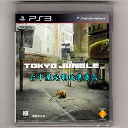 惠東中順中型層板式貨架 儲物架 歷史價格詳細信息