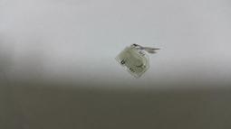 PSVITA背觸 PSV2000背觸屏 PSV1000后蓋背觸膜 維修配件全新PSV 歷史價格詳細信息