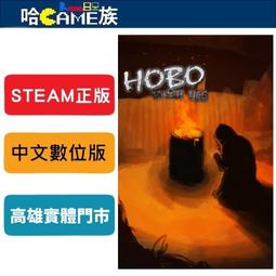 HOBO 數位台幣/人民幣商務型點驗鈔機 HB-368 歷史價格詳細信息