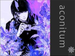 【天使小舖】BL  日文  pc  game - CAGE -OPEN (含安裝說明) 歷史價格詳細信息