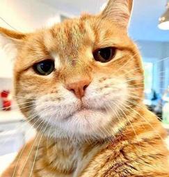 閒人誤下 價格比較,價格查詢,歷史價格詳細信息